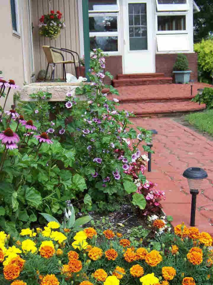 1527 West River Road Moreau, NY 12831 - Photo 30 of 32 Photo 30