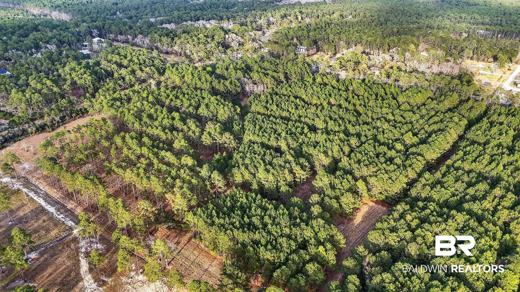 0 Hemley Road Bayou La Batre, AL 36509 - Photo 24 of 28