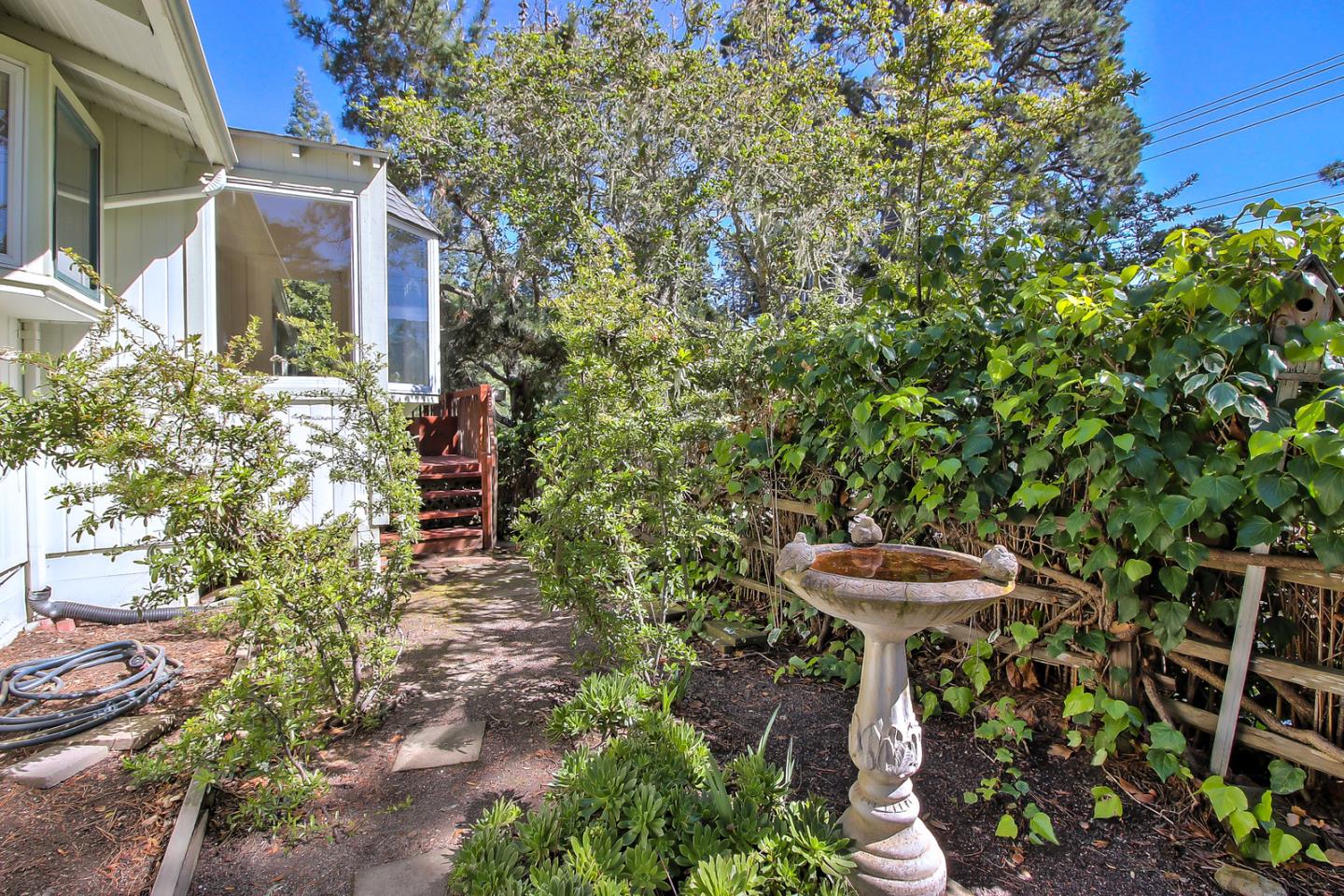 2 San Carlos Street Carmel, CA 93921 - Photo 11 of 22 a view of a backyard with plants