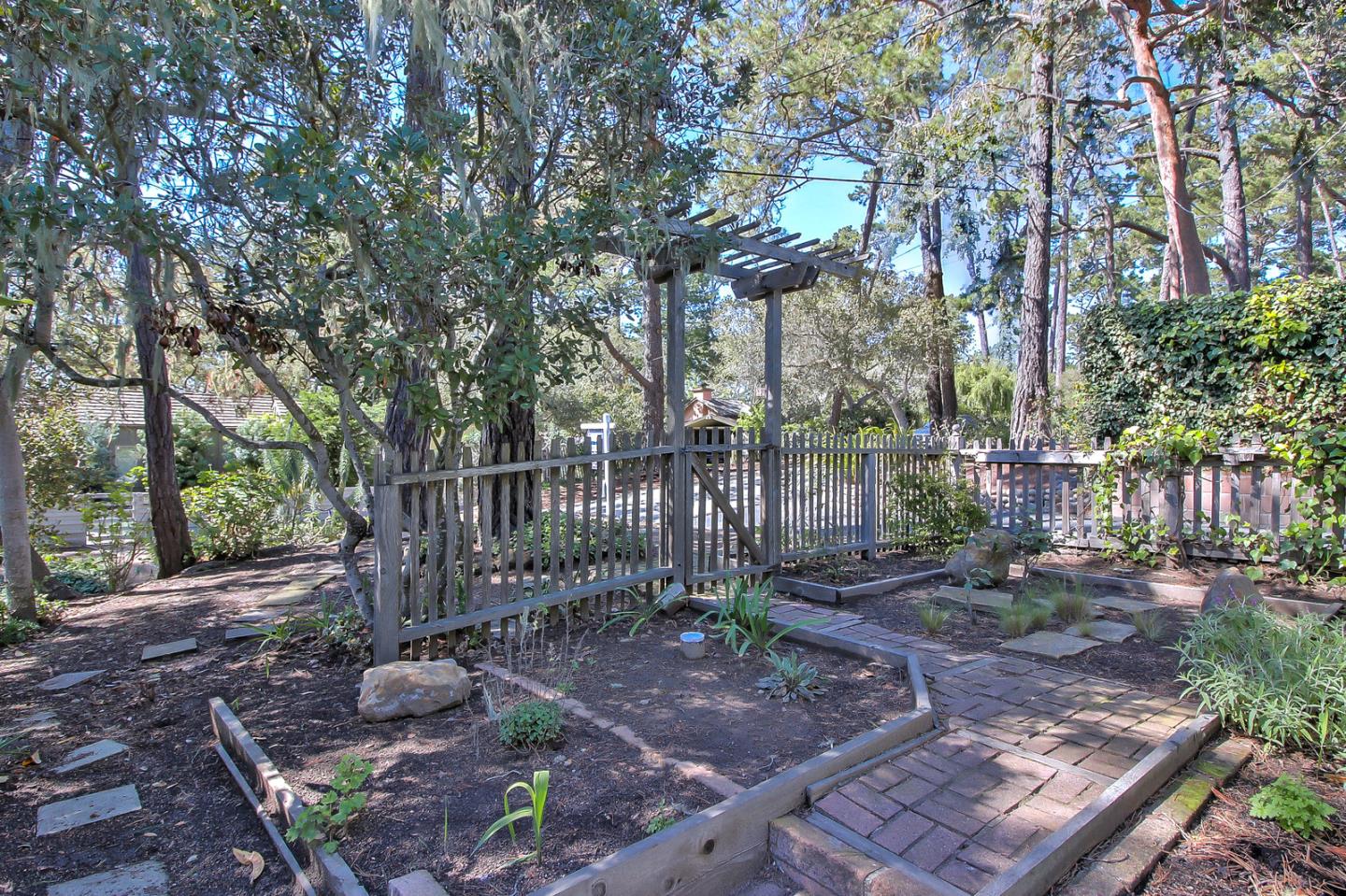 2 San Carlos Street Carmel, CA 93921 - Photo 20 of 22 a view of a yard with plants and large trees