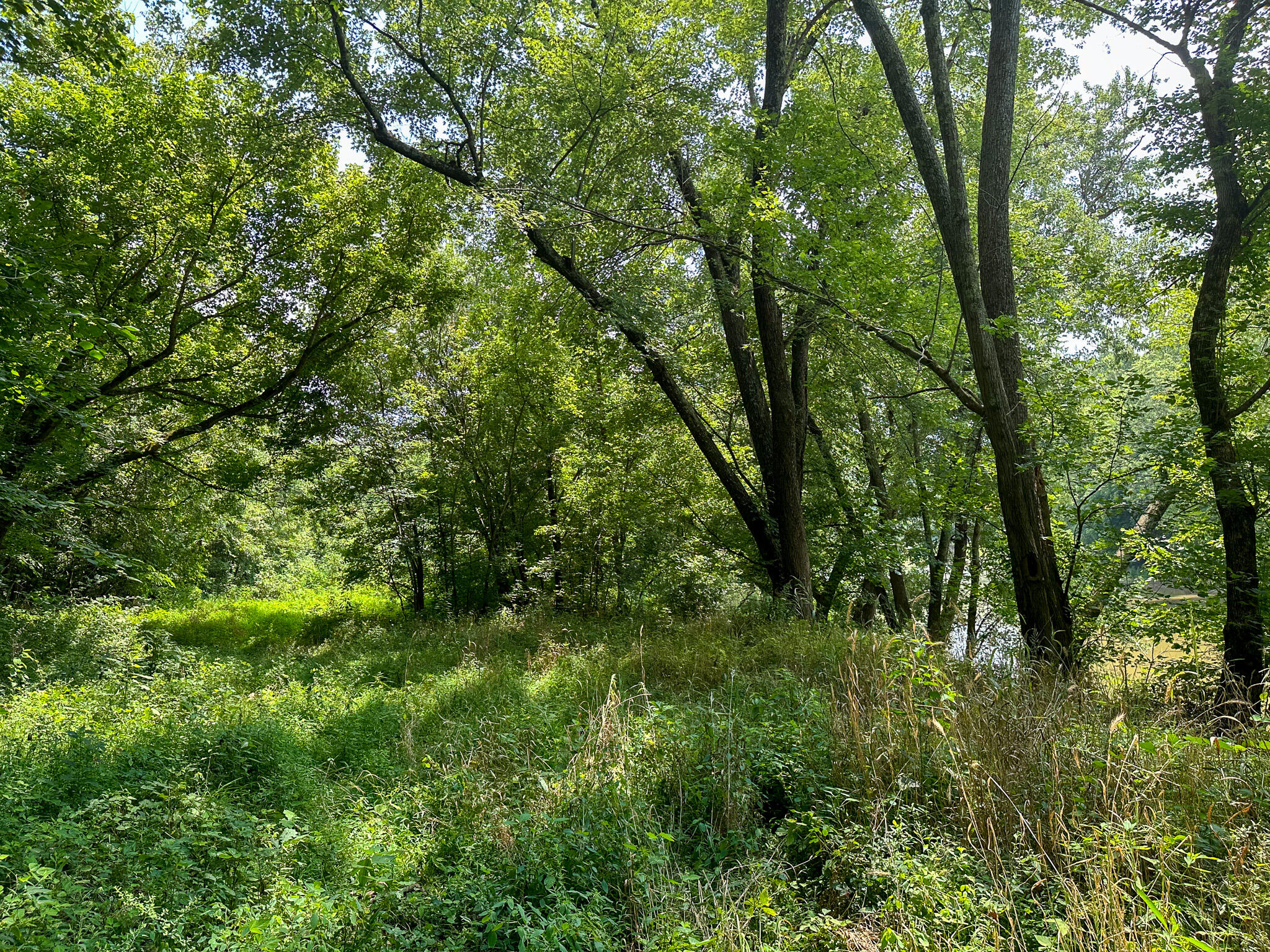 0 Abners Mill Road Ewing, KY 41039 - Photo 85 of 122 IMG_4334