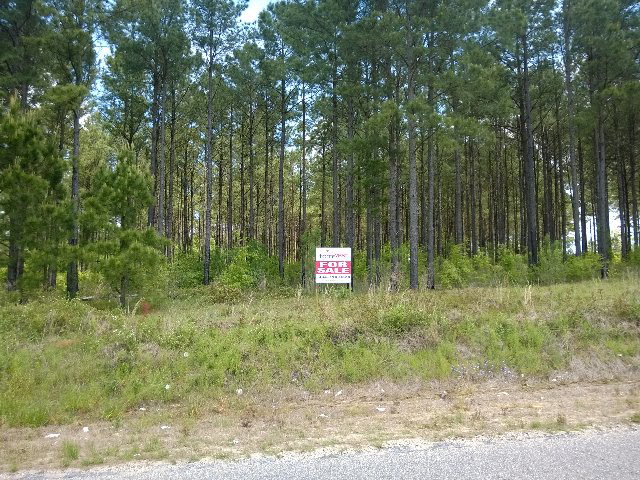 225 Ben Ivey Road Webb, AL 36376 - Photo 3 of 6