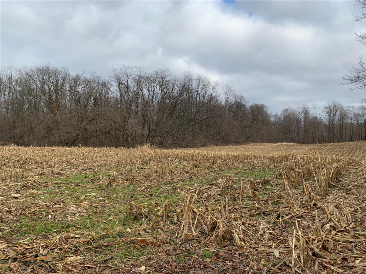 60 Ball Road Dowagiac, MI 49047 - Photo 40 of 61
