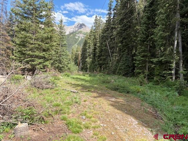 10.33-ac 10.33-ac Imogene Road Ridgway, CO 81432 - Photo 7 of 22
