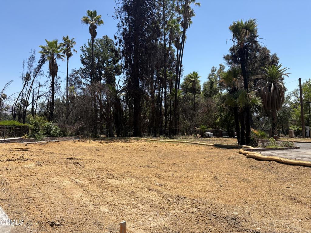 1125 Rubio Street Altadena, CA 91001 - Photo 19 of 23 a view of empty space with trees