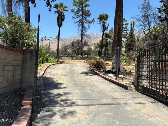 a view of a backyard with palm trees