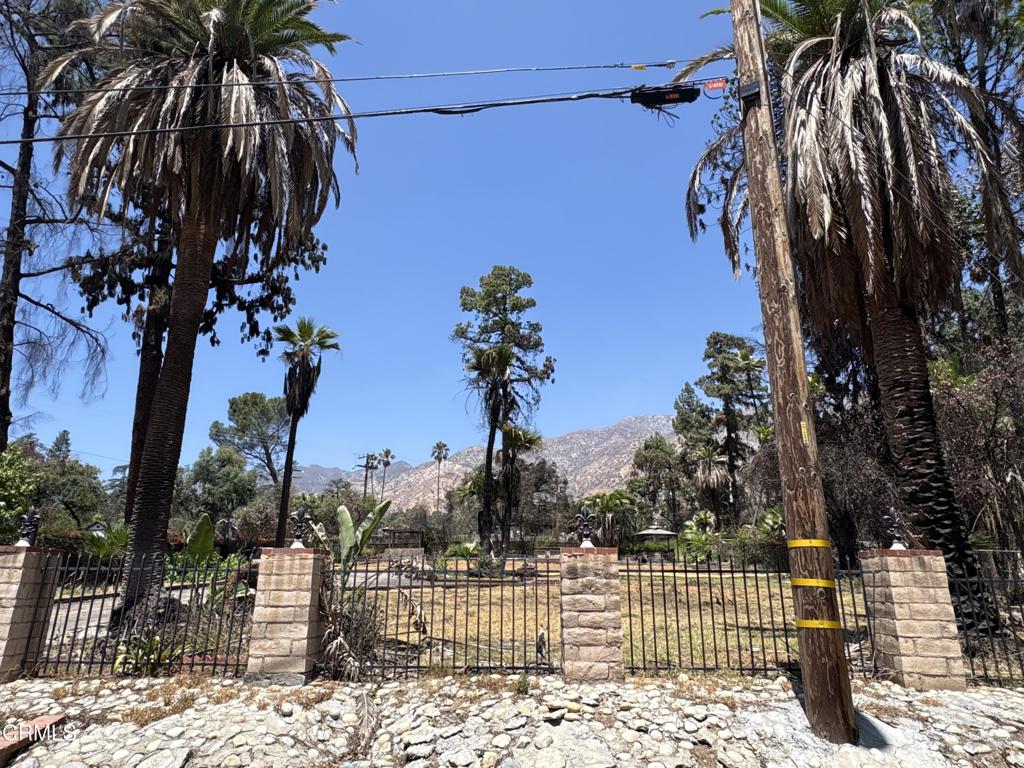 1125 Rubio Street Altadena, CA 91001 - Photo 3 of 23 a view of a palm trees front of house with wooden fence