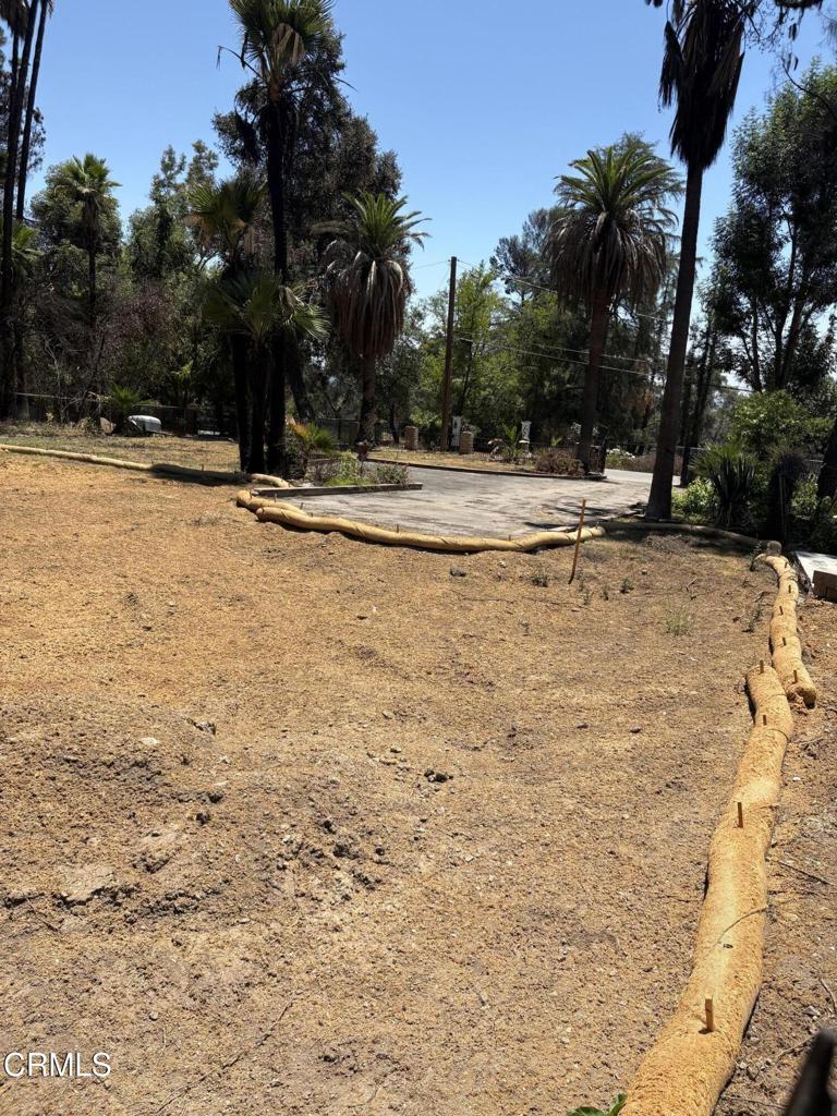1125 Rubio Street Altadena, CA 91001 - Photo 5 of 23 a view of swimming pool with a yard