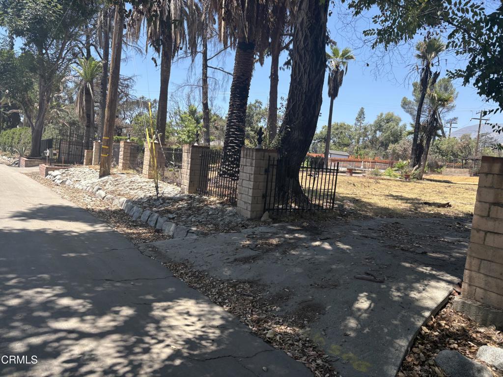 1125 Rubio Street Altadena, CA 91001 - Photo 7 of 23 a view of a yard with trees