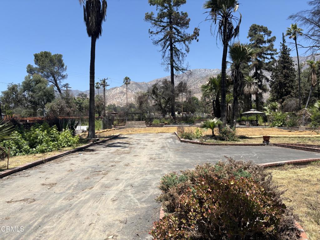 1125 Rubio Street Altadena, CA 91001 - Photo 10 of 23 a view of a yard with plants