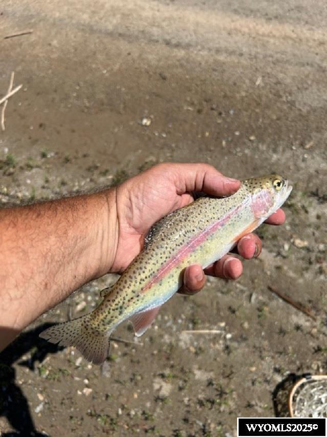 171 Dallas Dome Road Lander, WY 82520 - Photo 10 of 18