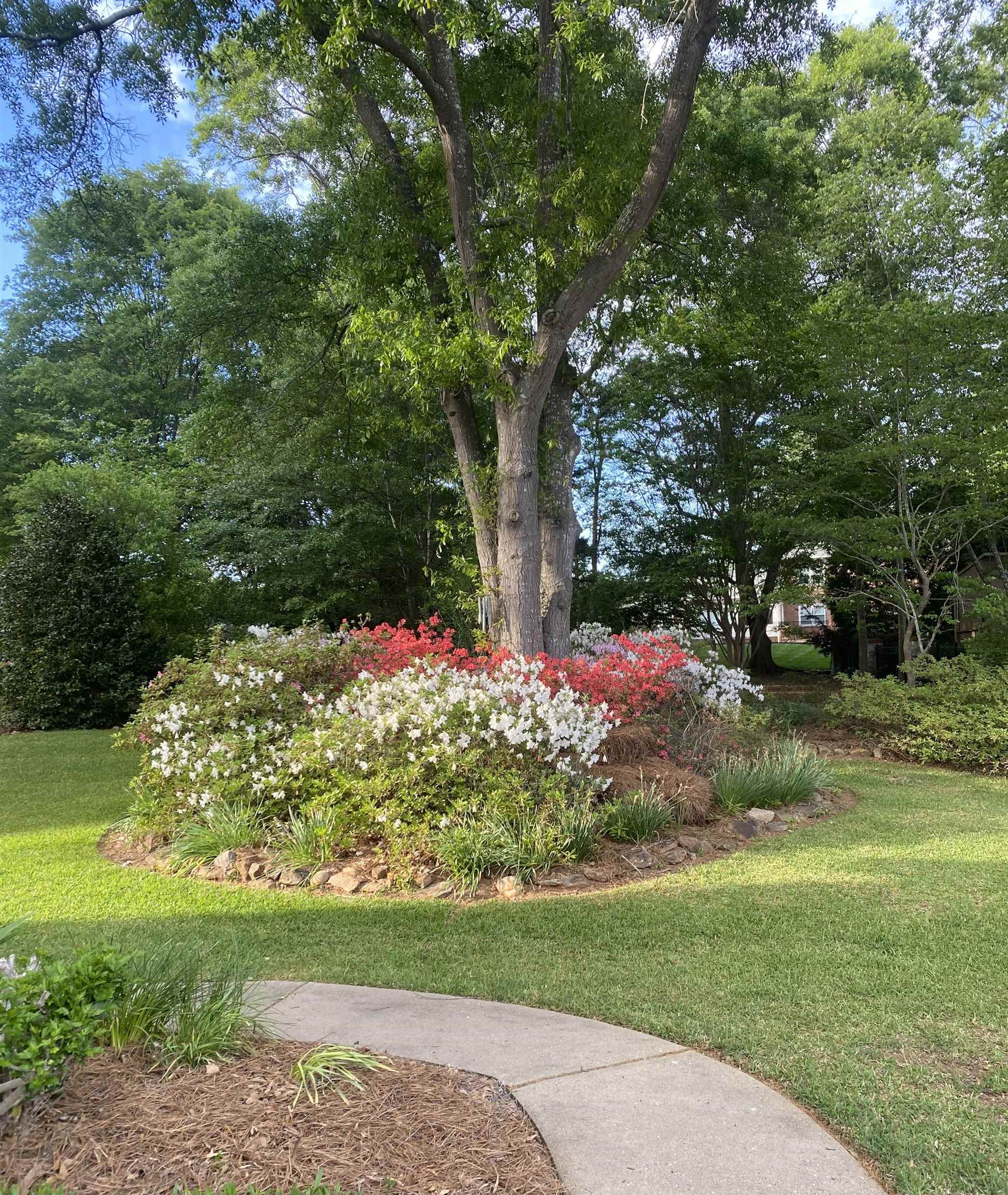 310 Meathward Circle Moore, SC 29369 - Photo 41 of 48
