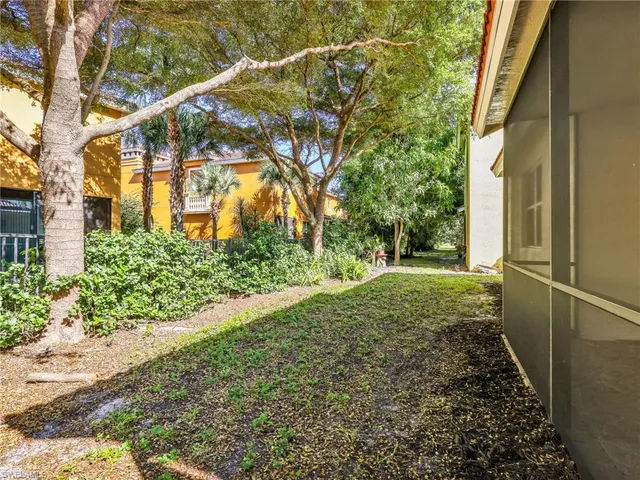 a view of a yard with plants and large trees