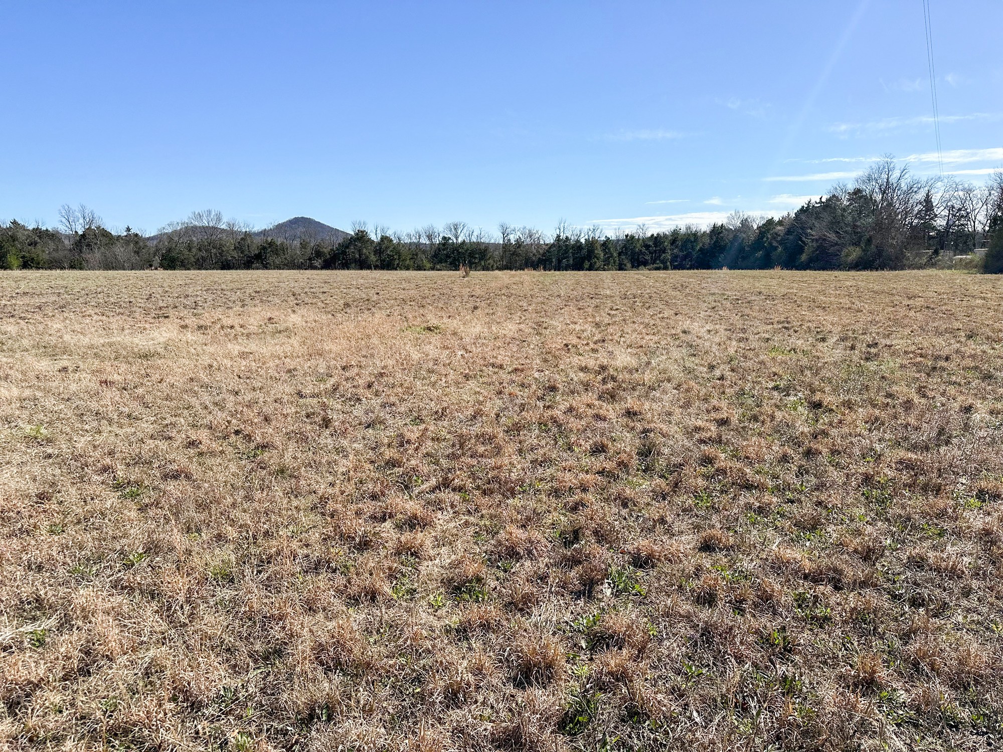 0 Cobb Road Christiana, TN 37037 - Photo 4 of 5 Gallery Image 4