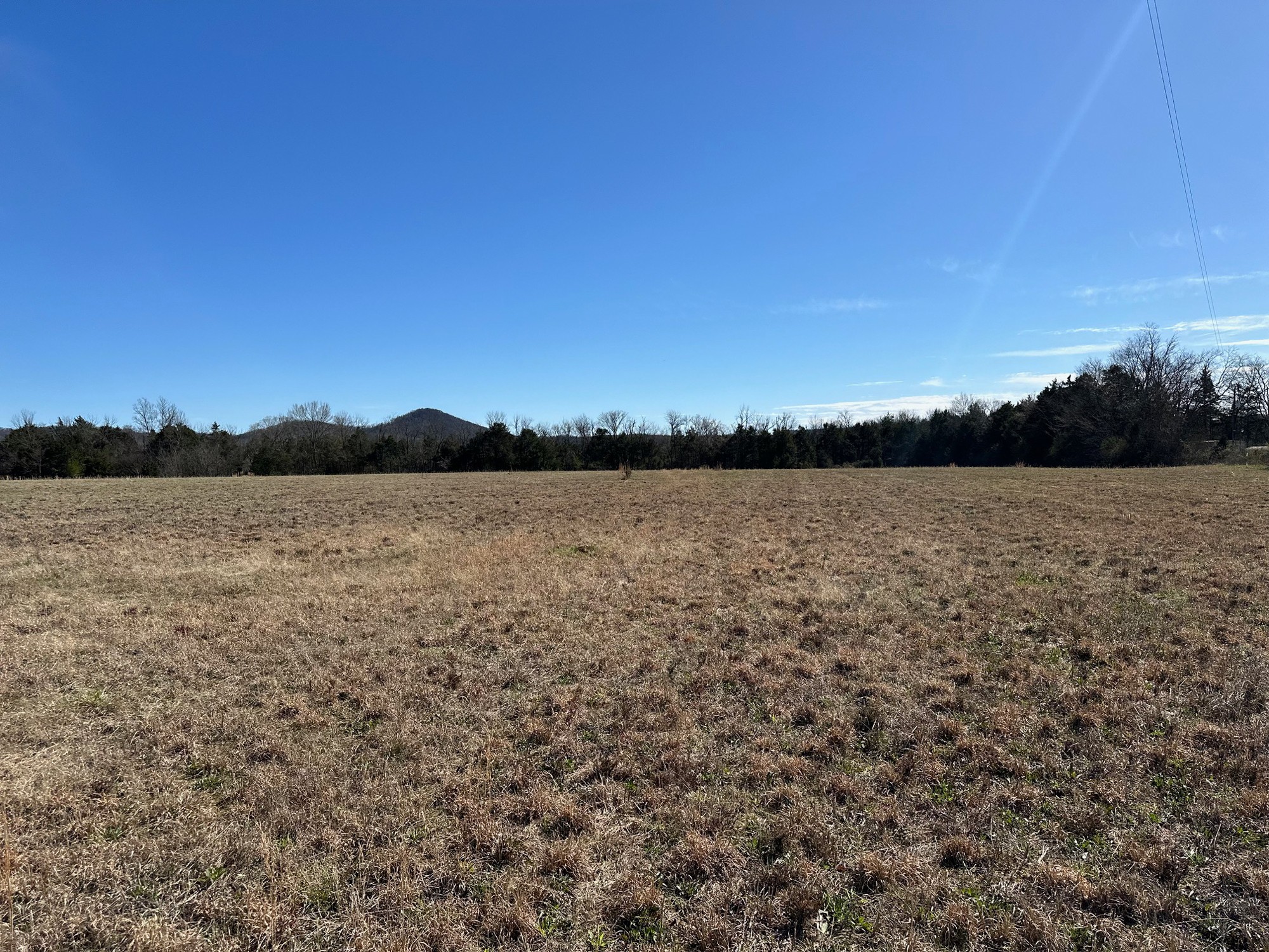 0 Cobb Road Christiana, TN 37037 - Photo 5 of 5 Gallery Image 5