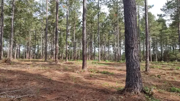 $799,000 | 5279 Highway 13, Lumberton, MS 39455