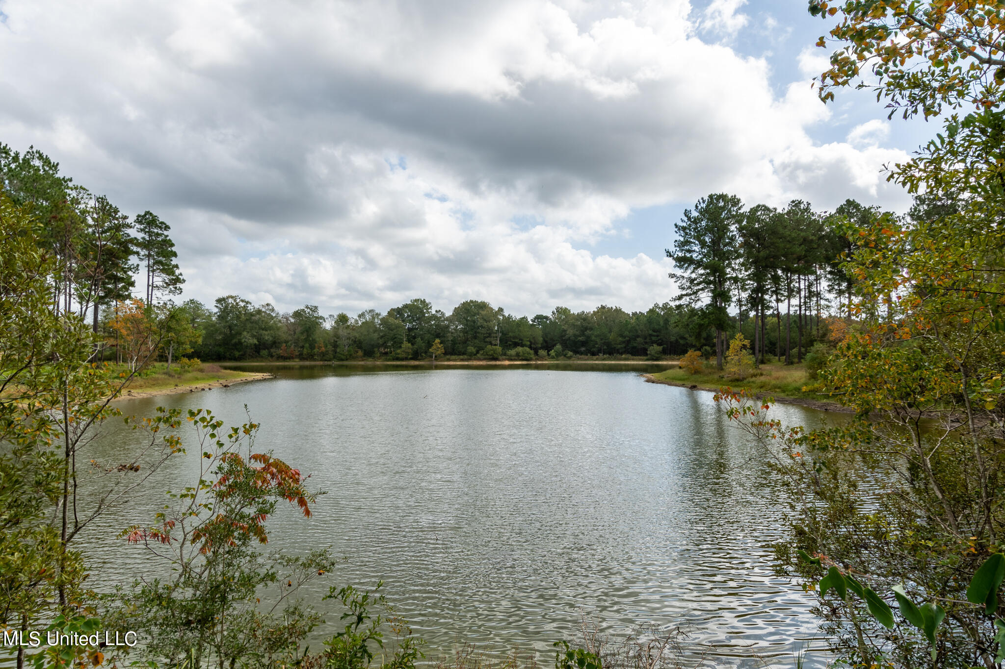 5279 Highway 13 Lumberton, MS 39455 - Photo 31 of 38 Lake view