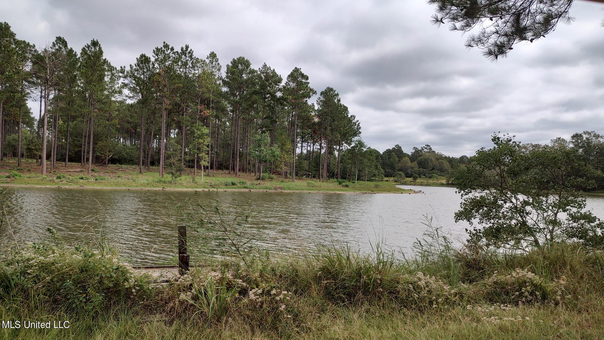 5279 Highway 13 Lumberton, MS 39455 - Photo 33 of 38 Lake view 2
