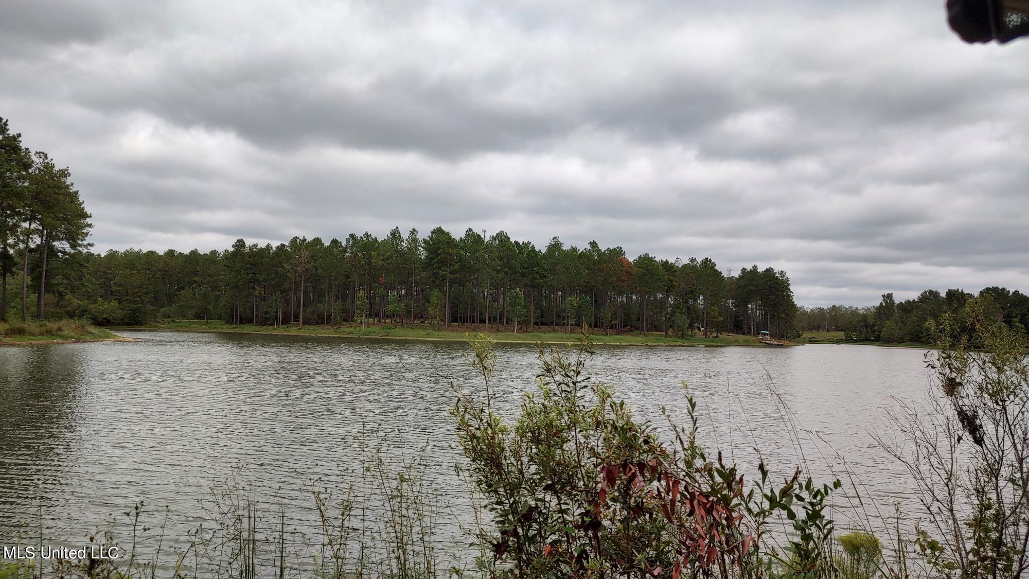 5279 Highway 13 Lumberton, MS 39455 - Photo 34 of 38 Lake v3