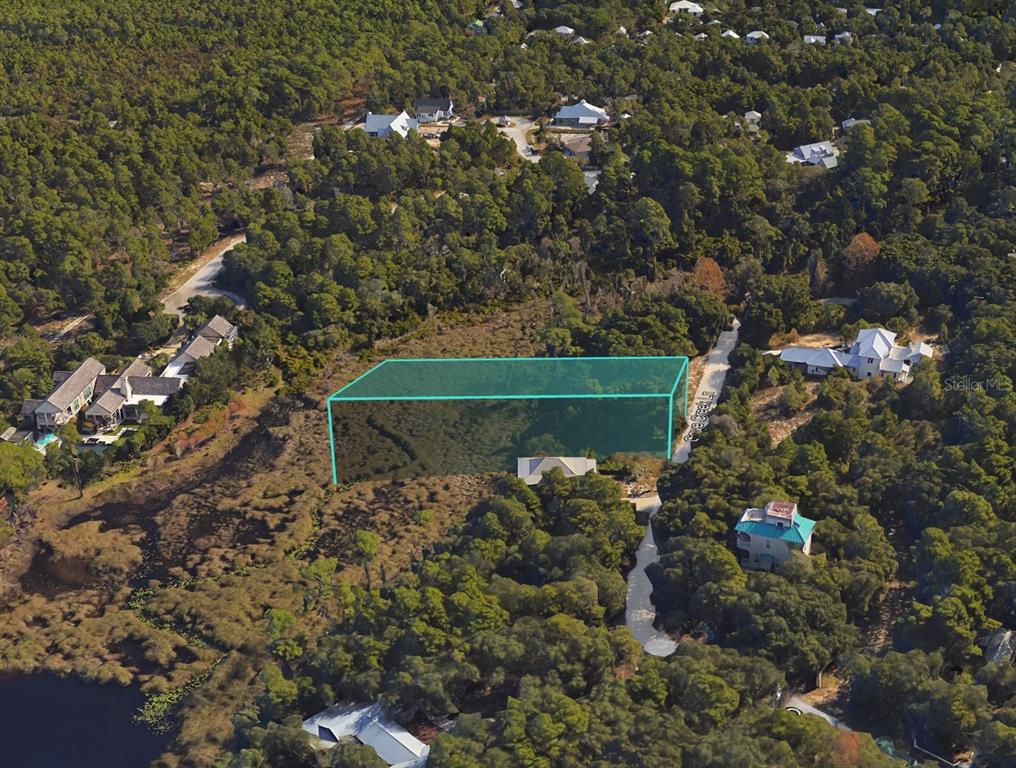 51 Cove Creek Lane Inlet Beach, FL 32461 - Photo 8 of 26 a backyard of a house with lots of green space