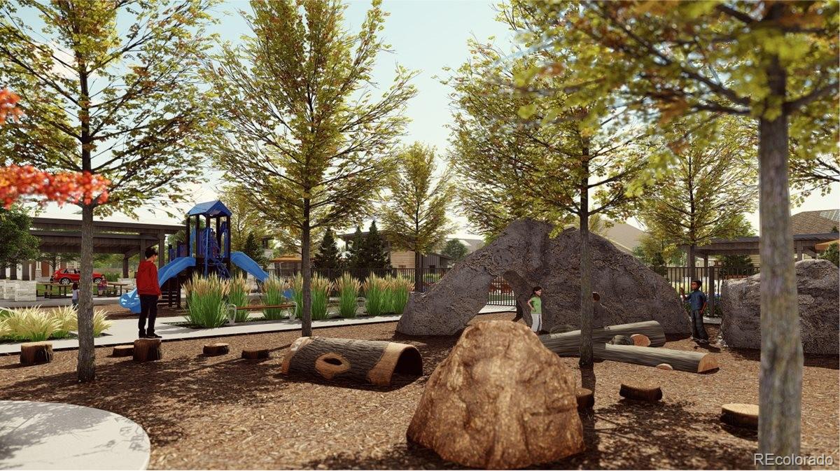 701 Eldorado Drive Erie, CO 80026 - Photo 8 of 10 a view of a park with large trees