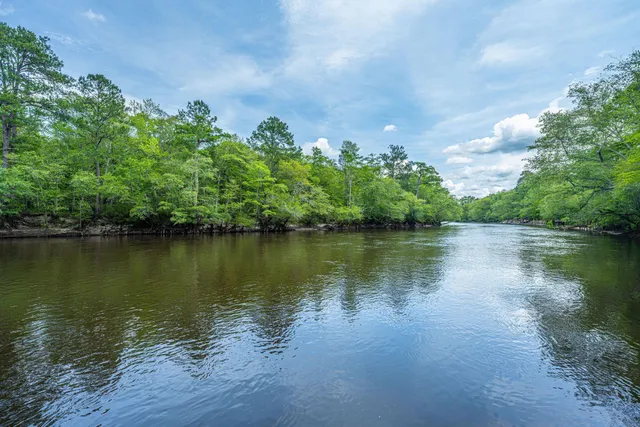 $599,000 | 0 Hannibal Drive, Ridgeville, SC 29472