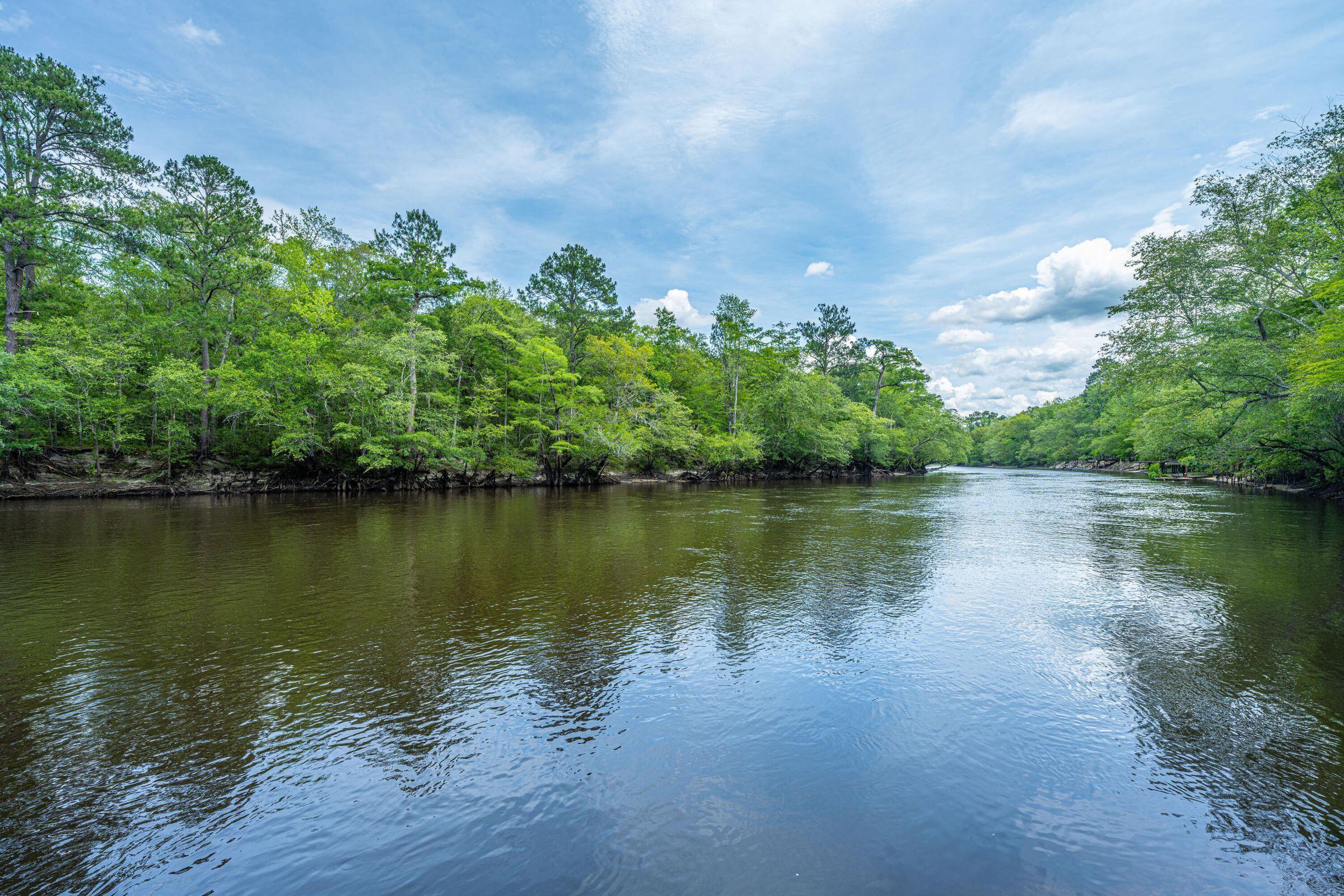 0 Hannibal Drive Ridgeville, SC 29472 - Photo 19 of 38 20