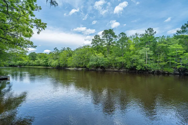 $599,000 | 0 Hannibal Drive, Ridgeville, SC 29472