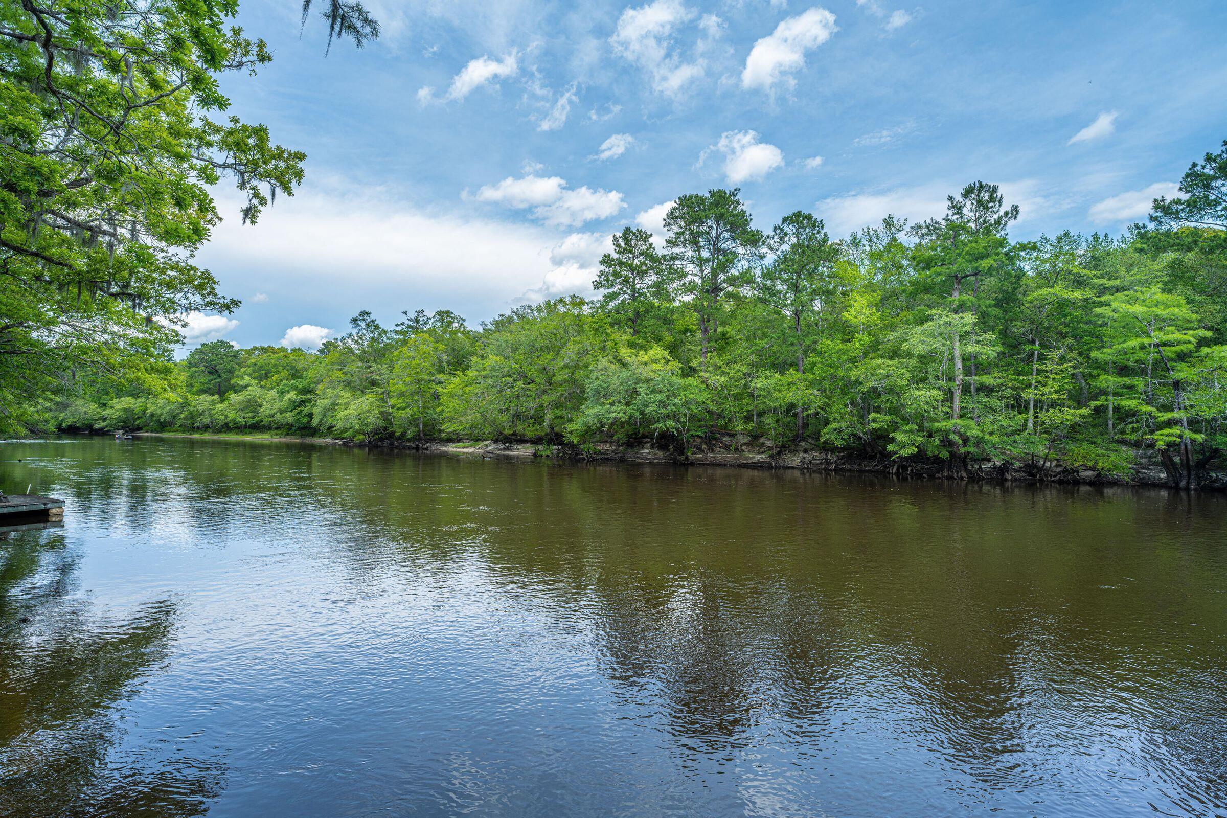 0 Hannibal Drive Ridgeville, SC 29472 - Photo 29 of 38 10