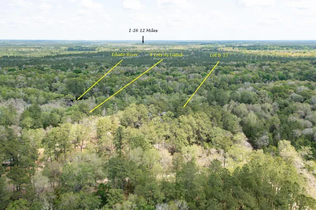 $599,000 | 0 Hannibal Drive, Ridgeville, SC 29472