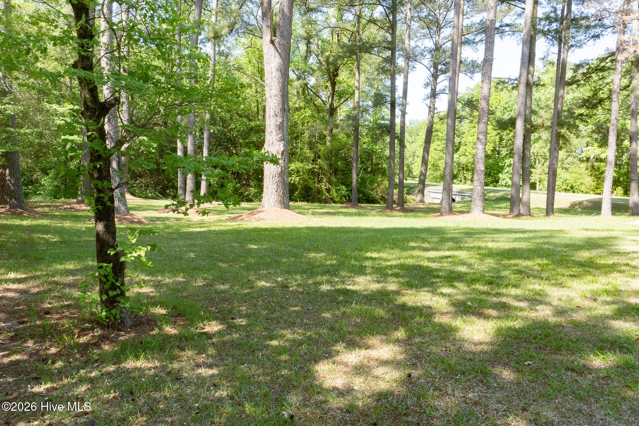 93 Gibson Dairy Road Elizabethtown, NC 28337 - Photo 22 of 23 DSC01884