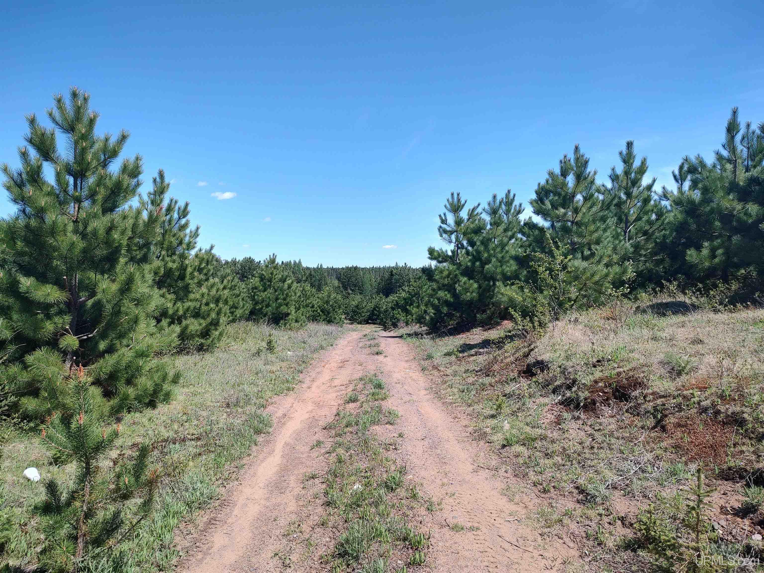 58-acres Co Rd Fn Road Champion, MI 49814 - Photo 13 of 27