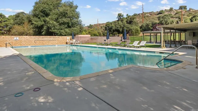 a view of a swimming pool with a yard and plants