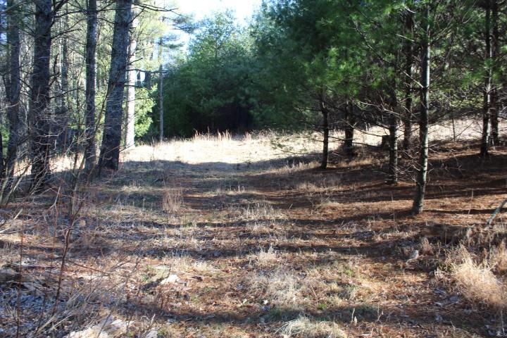 0 Fairview Church Road Southwest Floyd, VA 24091 - Photo 1 of 1 Gallery Image 1