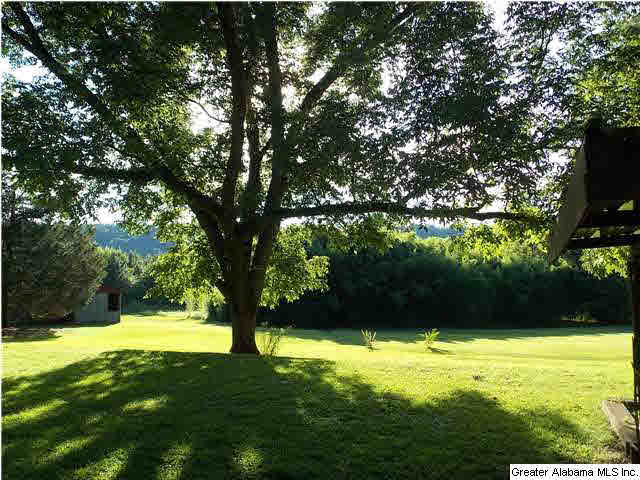 550 Patton Road Oneonta, AL 35121 - Photo 28 of 31