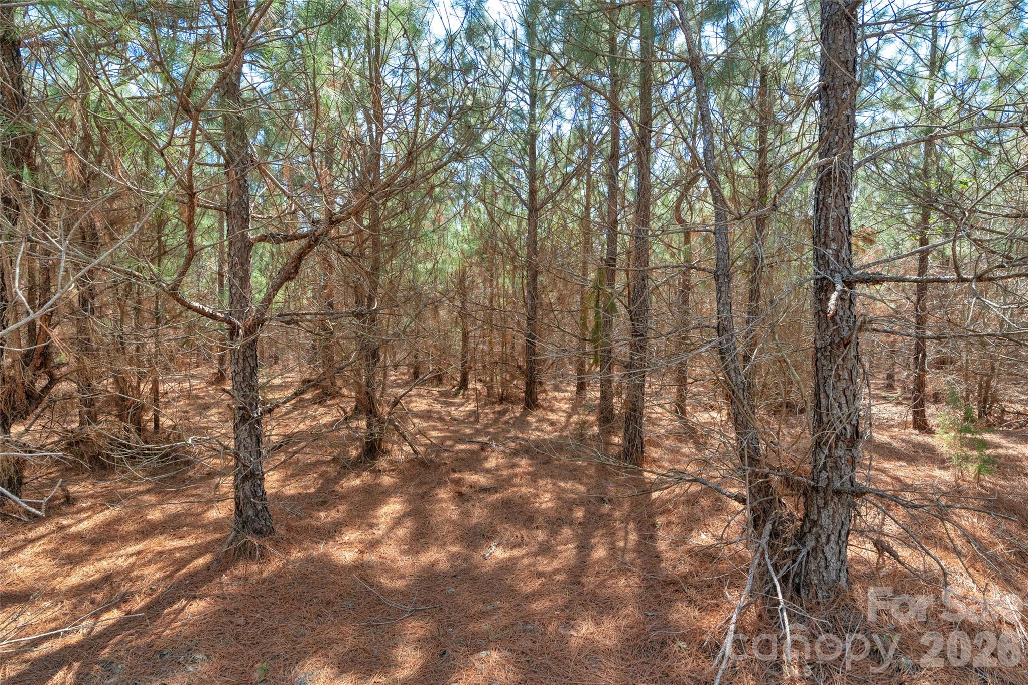 931 Charlie Johnson Road, Unit 9 Kershaw, SC 29067 - Photo 22 of 32 Gallery Image 22