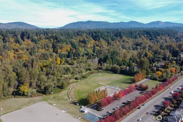 a view of a lush green field