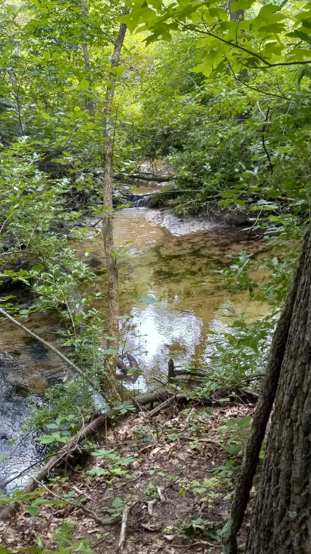 Rainbow Road Vandalia, MI 49095 - Photo 4 of 7 trout creek 2