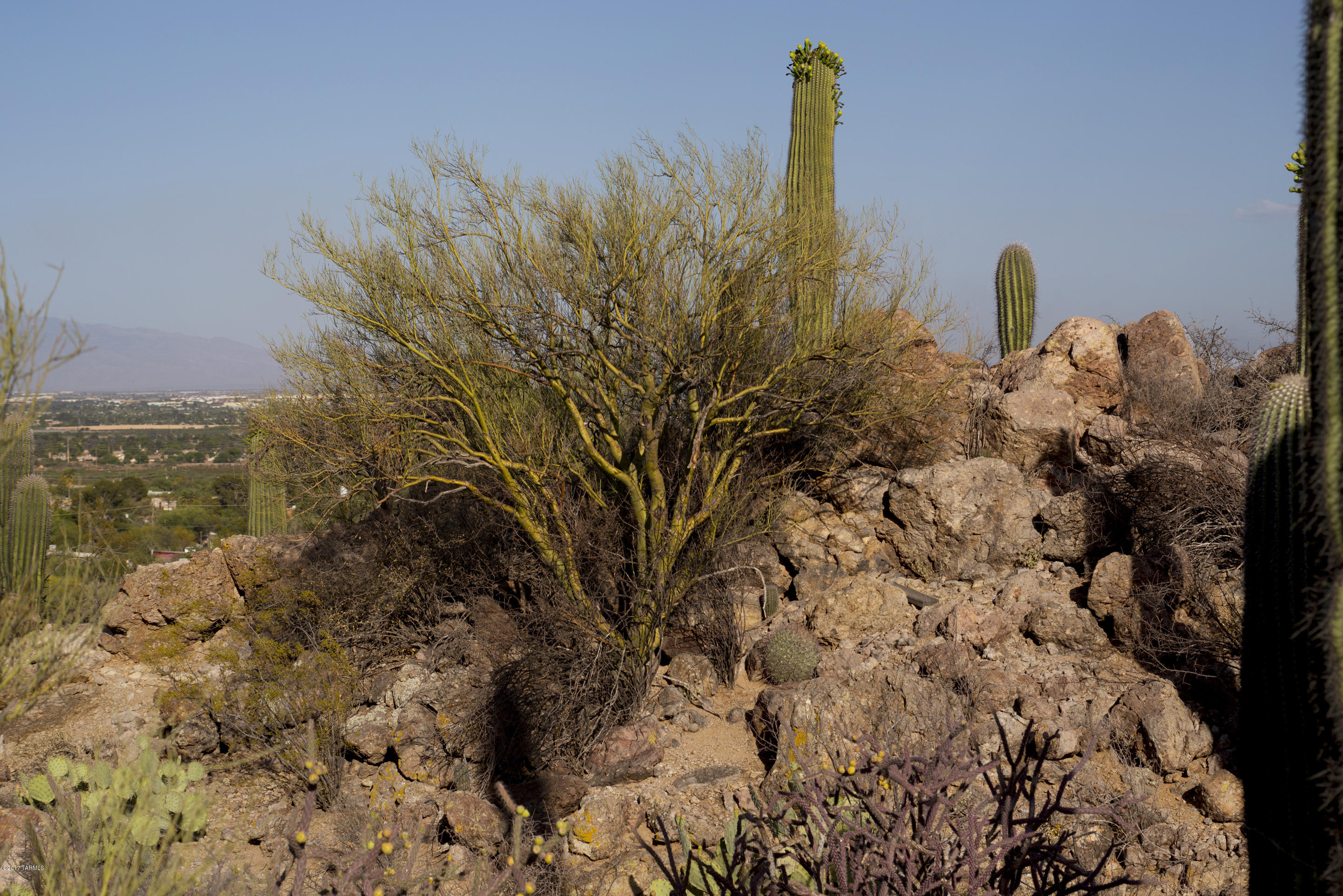 3220 West Milton Road Tucson, AZ 85746 - Photo 24 of 48 Gallery Image 24