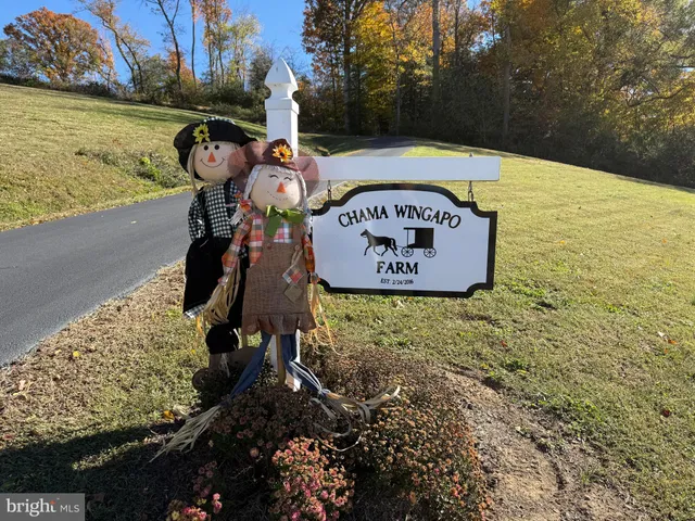 a view of a house with outdoor seating space and garden