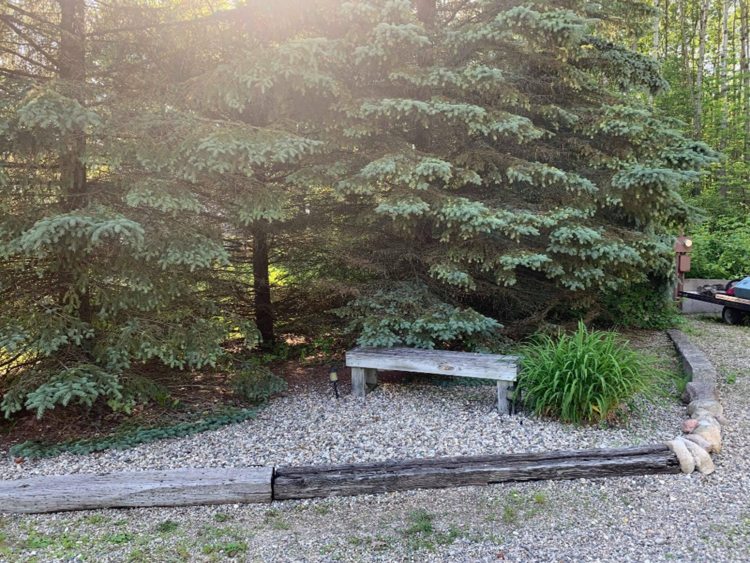 13250 16 Mile Road Rodney, MI 49342 - Photo 23 of 47 Rock Garden
