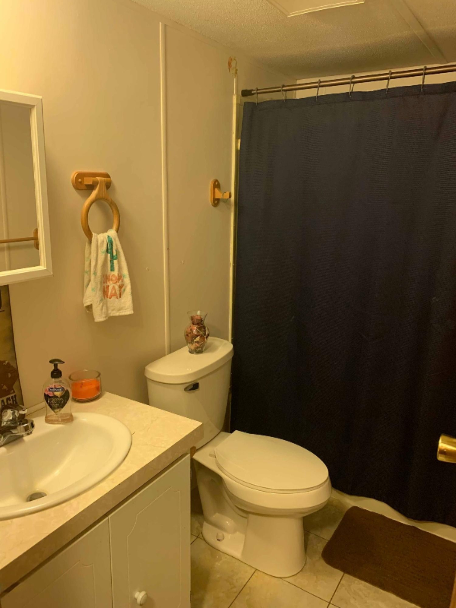 13250 16 Mile Road Rodney, MI 49342 - Photo 24 of 47 Bathroom 2