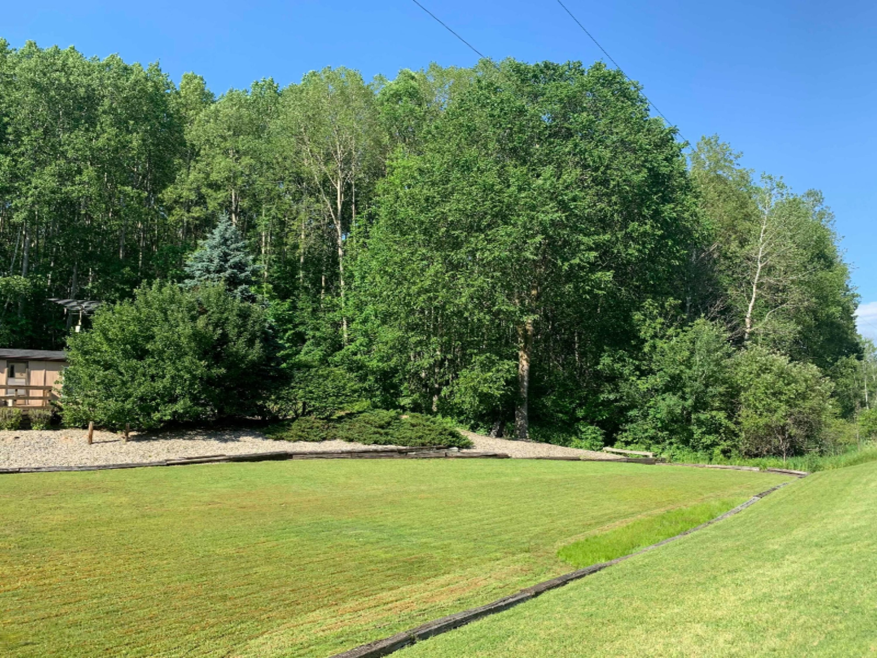 13250 16 Mile Road Rodney, MI 49342 - Photo 5 of 47 Front Yard, Road View 2