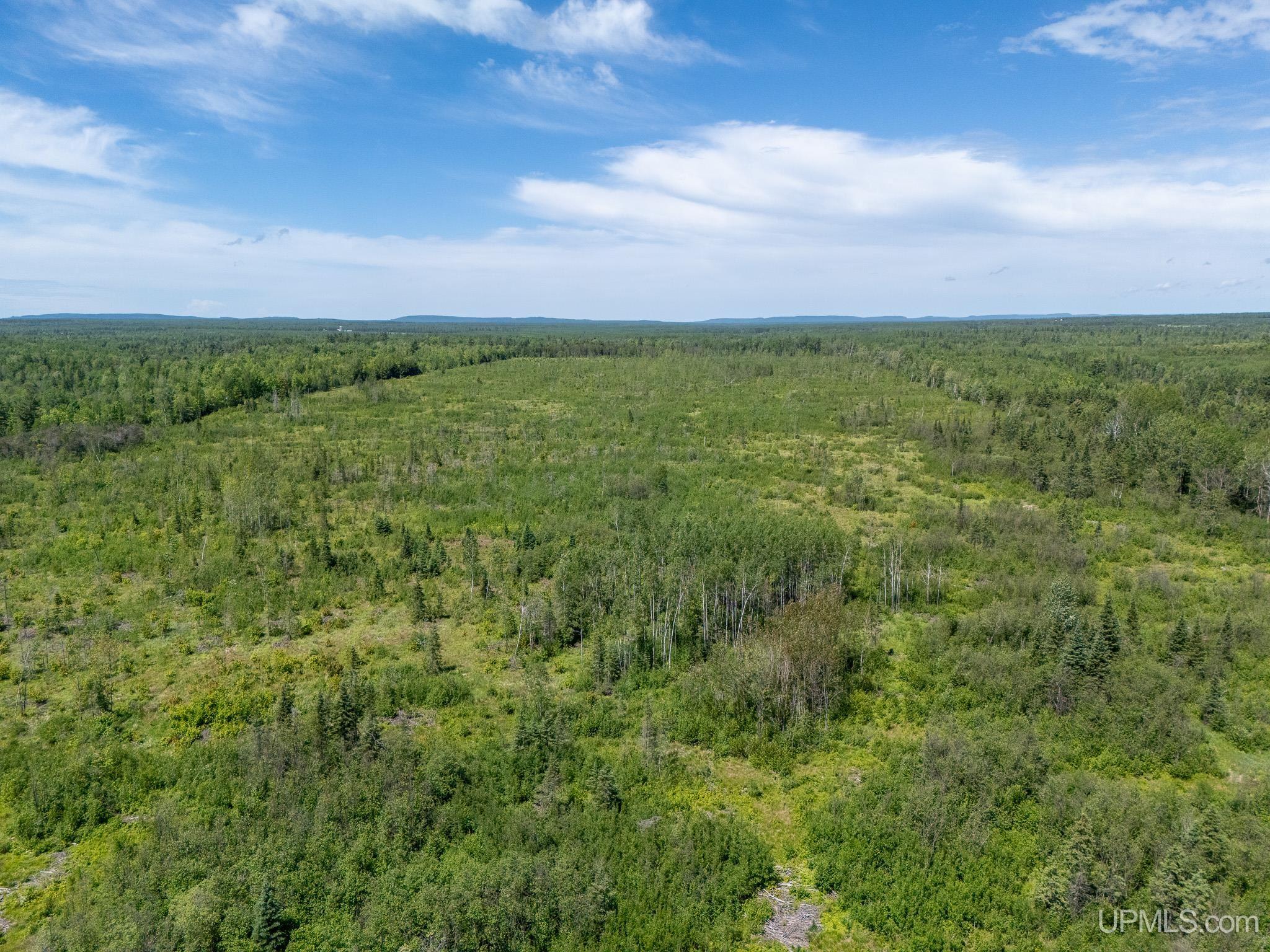 15772 St Collins Road Bruce Crossing, MI 49912 - Photo 26 of 36