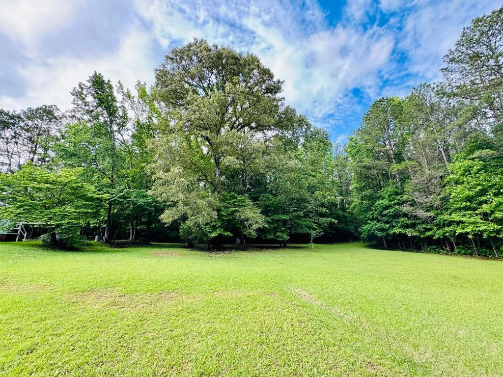 109 White Creek Road Abbeville, SC 29620 - Photo 28 of 34