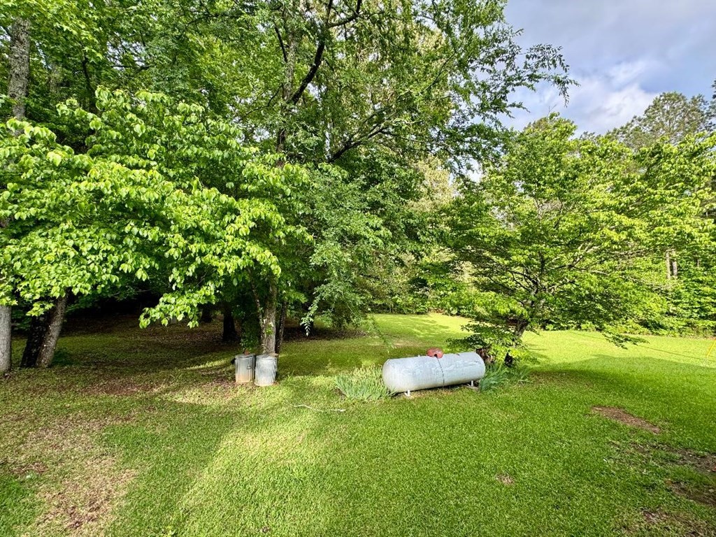 109 White Creek Road Abbeville, SC 29620 - Photo 30 of 34