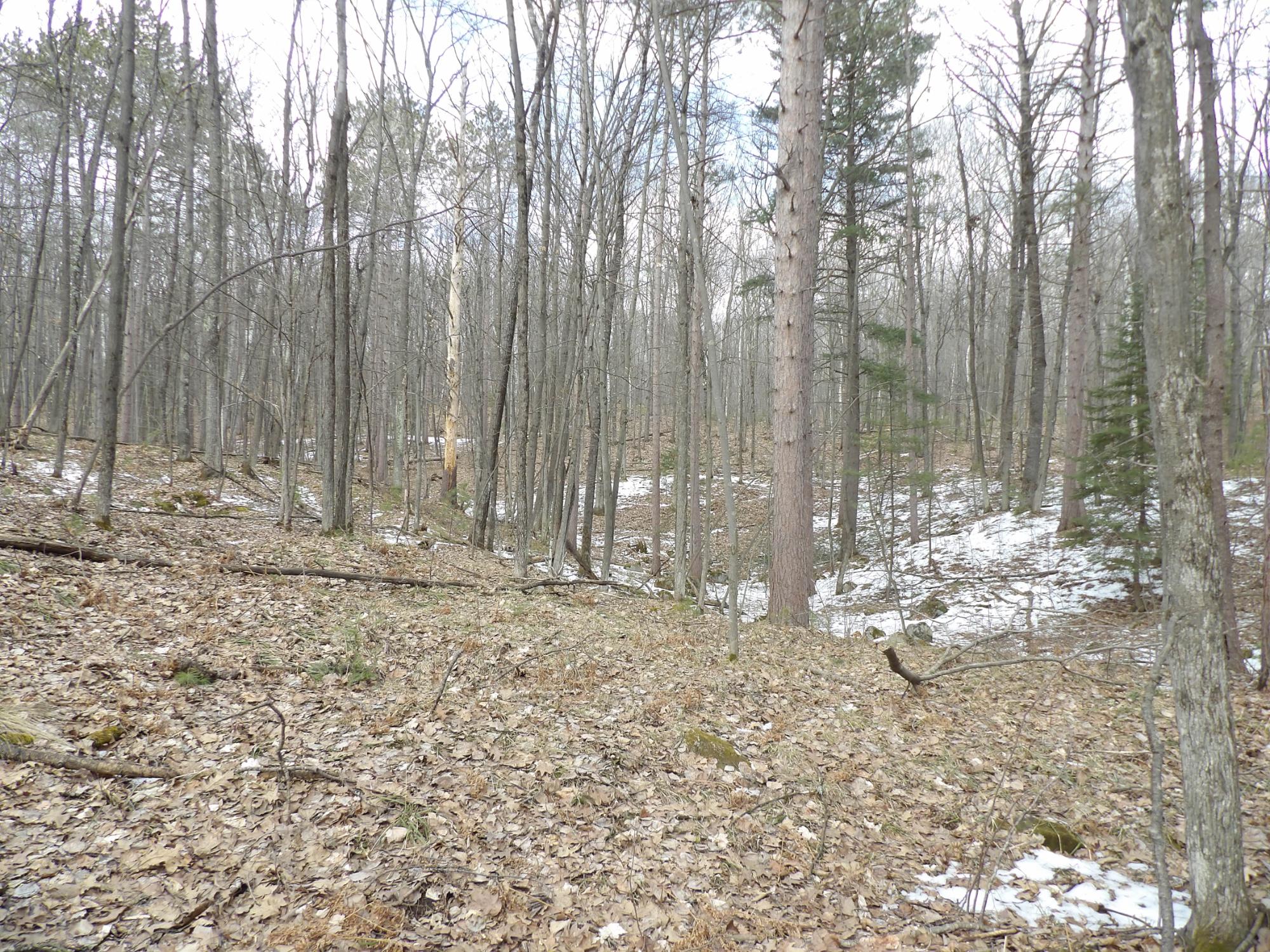 4530 Cth P Rhinelander, WI 54501 - Photo 10 of 22 Gallery Image 10