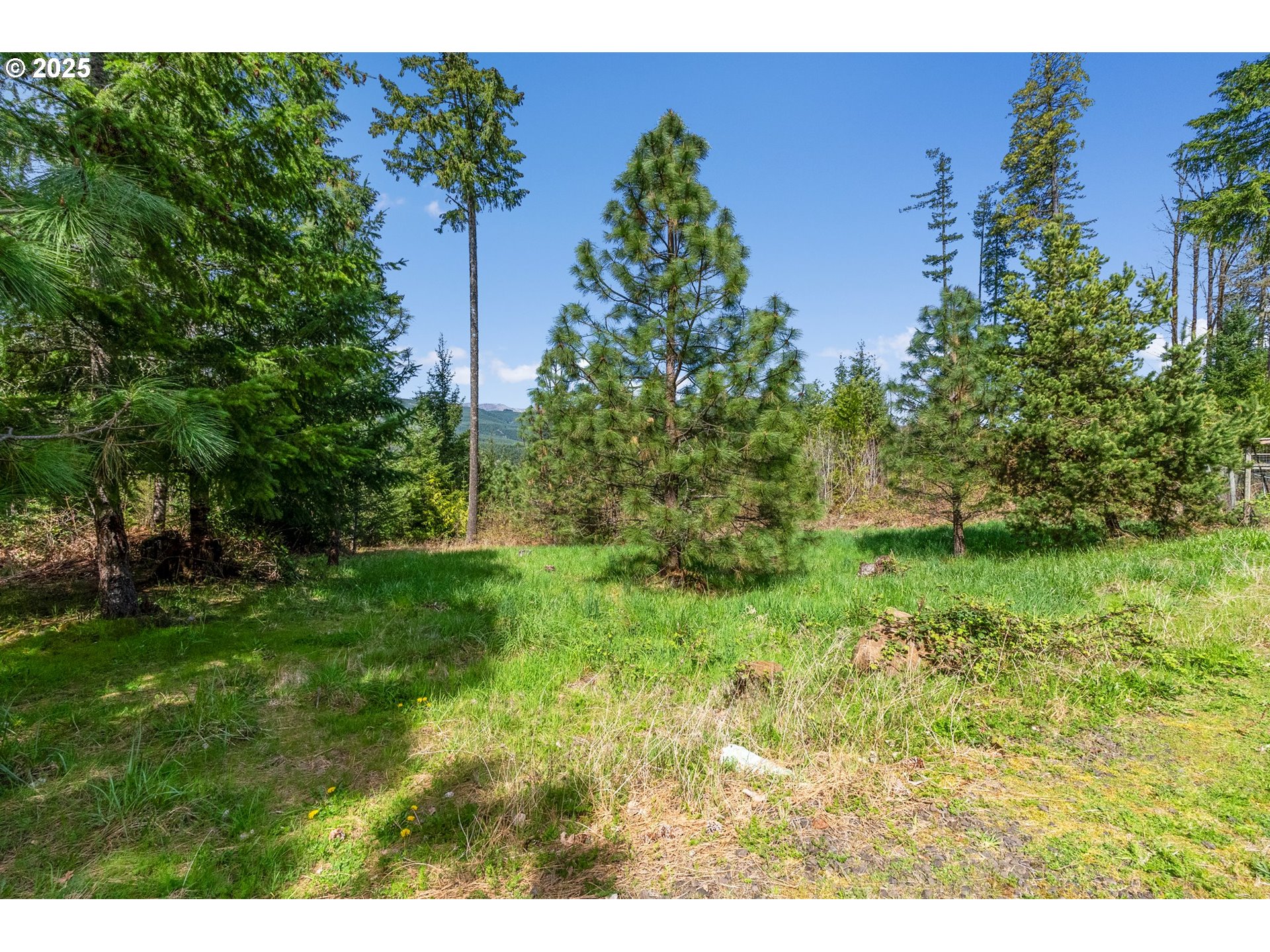 0 Whitewater Road, Unit 2332 Springfield, OR 97478 - Photo 12 of 23