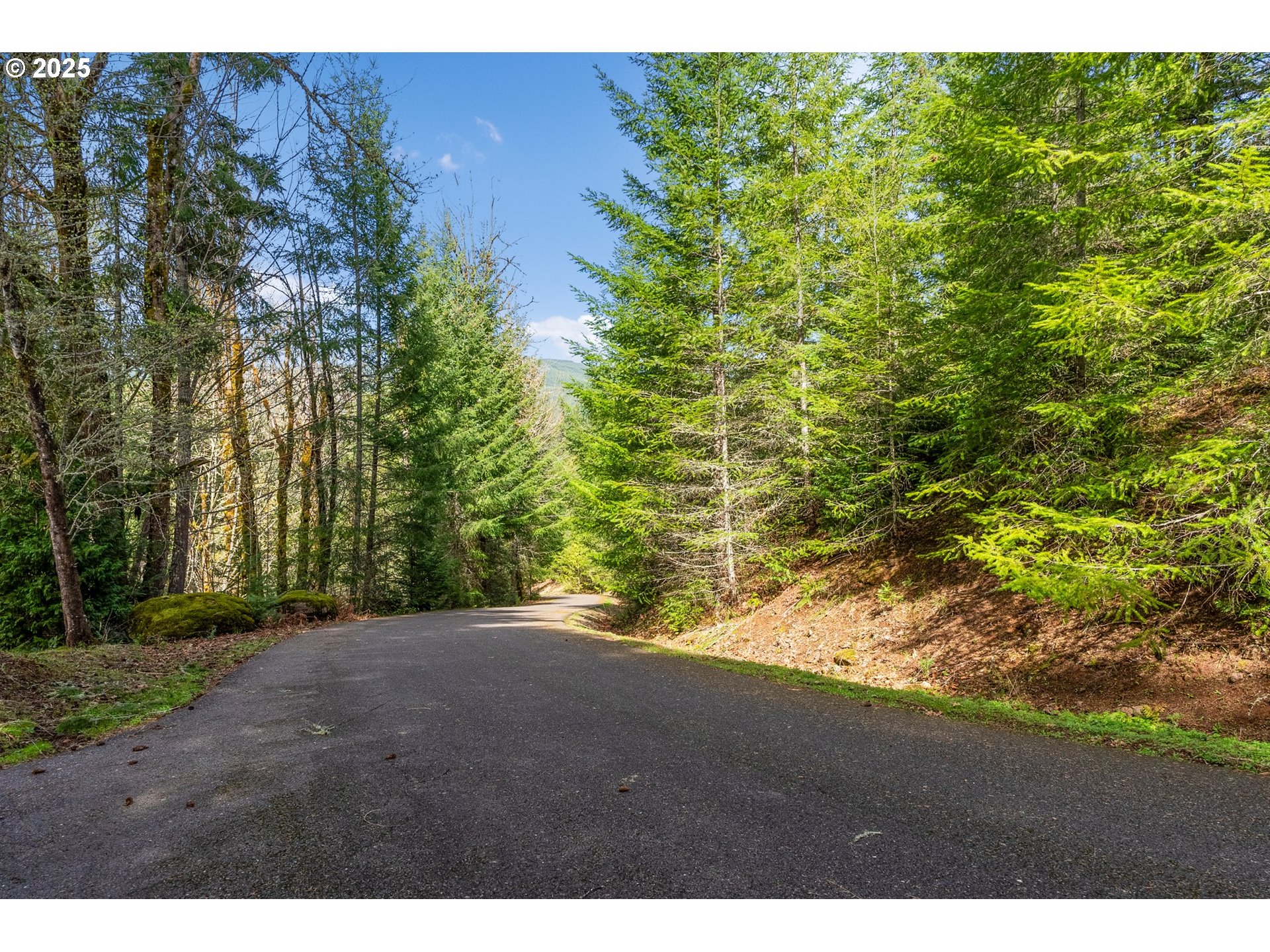 0 Whitewater Road, Unit 2332 Springfield, OR 97478 - Photo 14 of 23