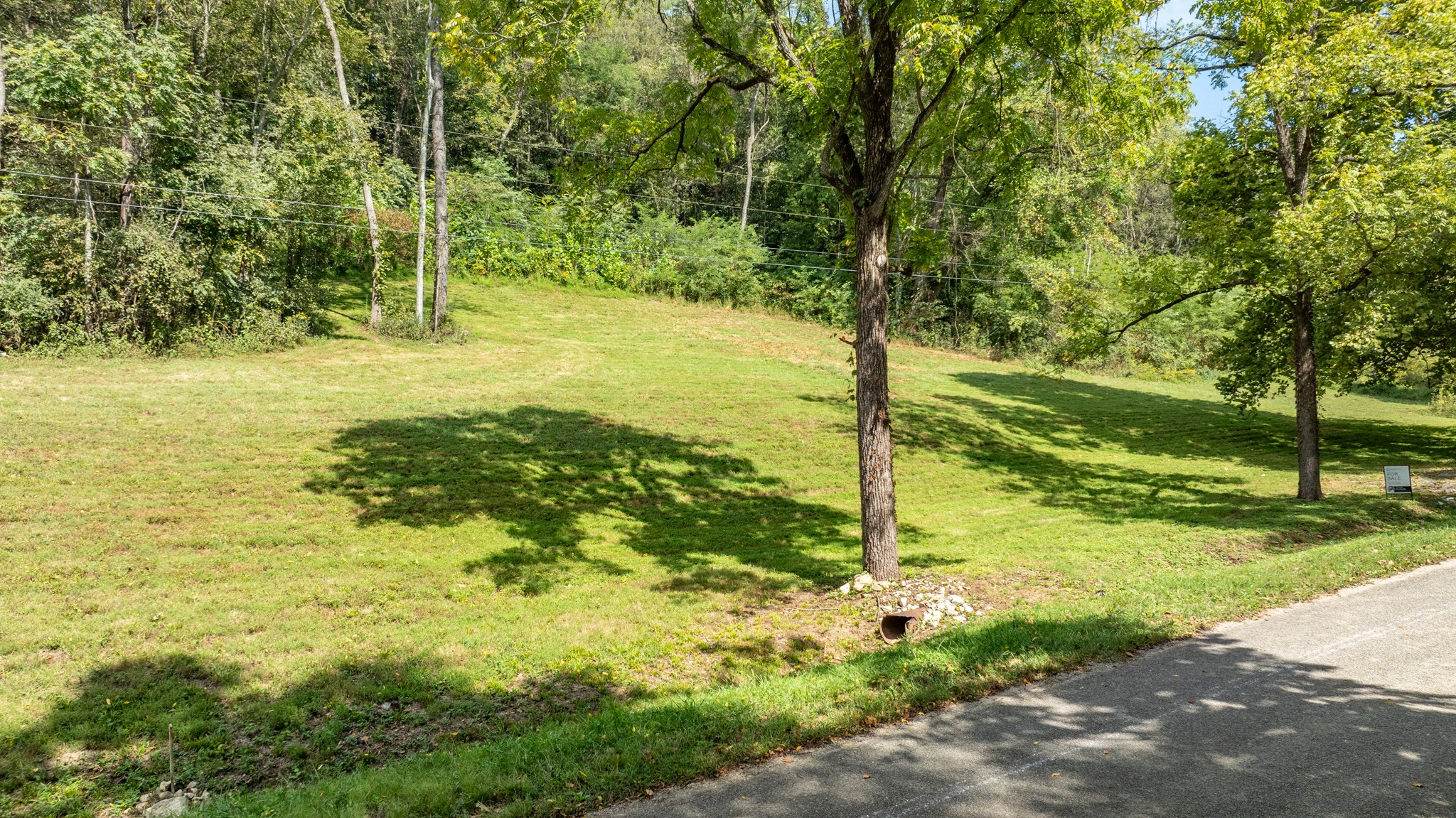 0 Roy Dodson Road Columbia, TN 38401 - Photo 11 of 33